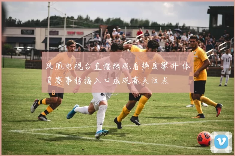 凤凰电视台直播线观看热度攀升 体育赛事转播入口成观赛关注点