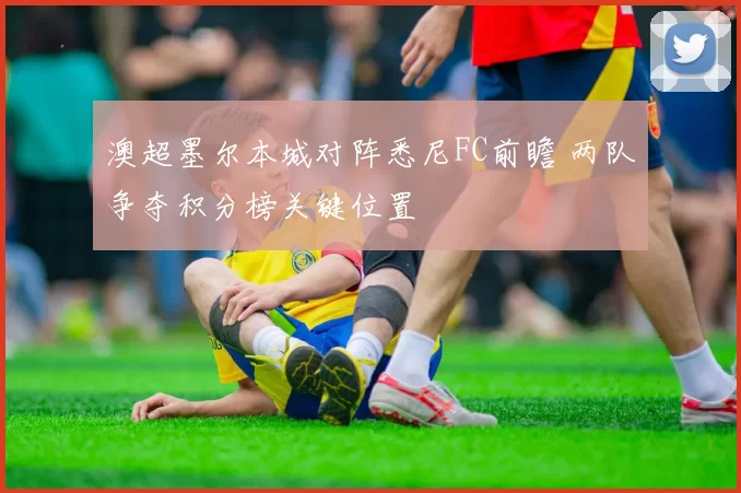 澳超墨尔本城对阵悉尼FC前瞻 两队争夺积分榜关键位置