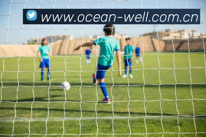 App Interface Preview